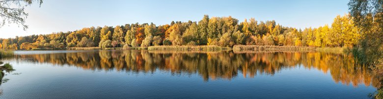 Фартук из стекла леса (скинали)